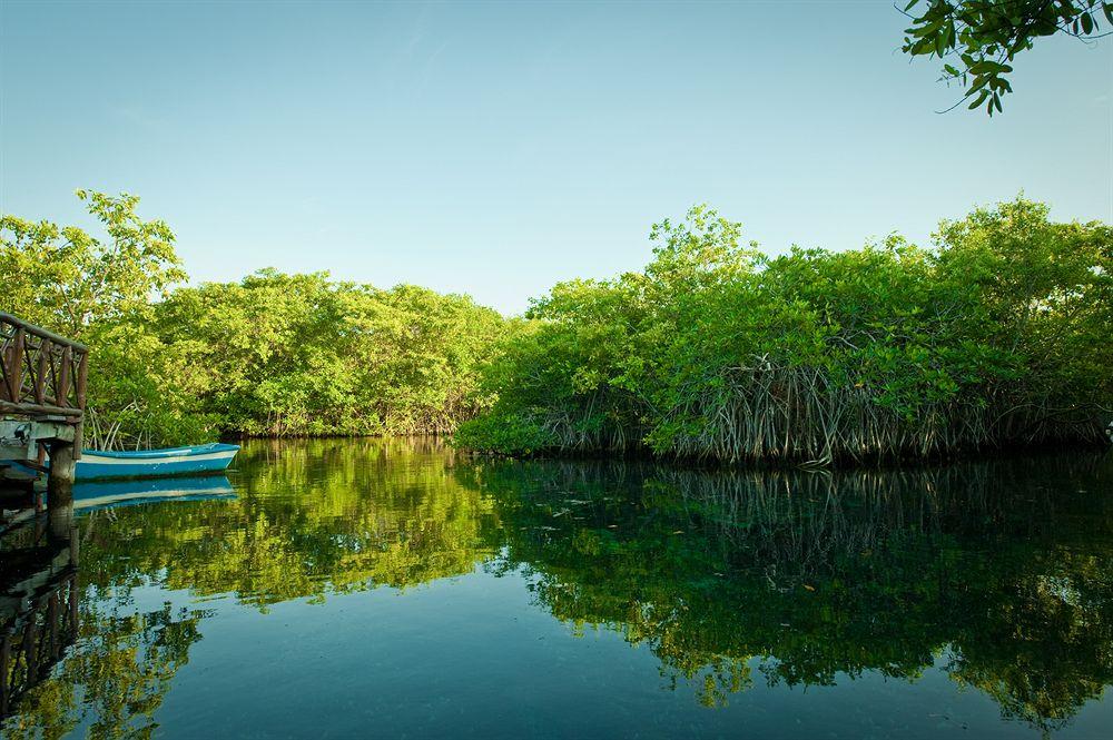 Bel Air Collection Resort & Spa Riviera Maya Xpu Ha ภายนอก รูปภาพ